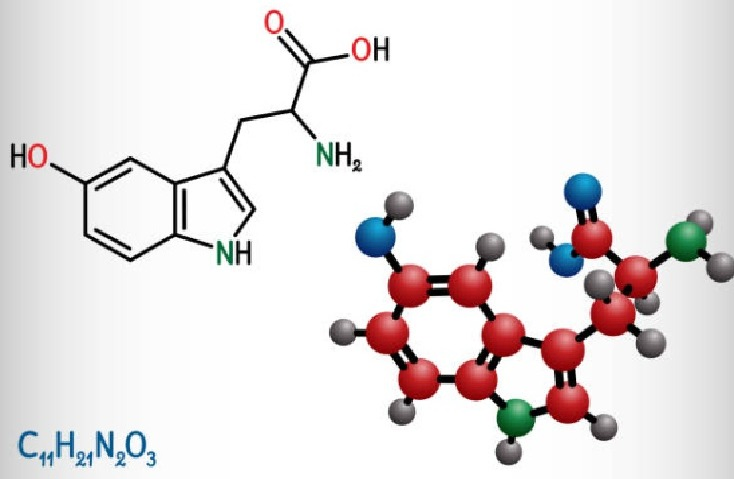 5-HTP for serotonin production